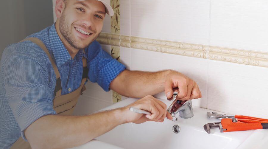 Professional Leak Detection Services services in Afton, WI